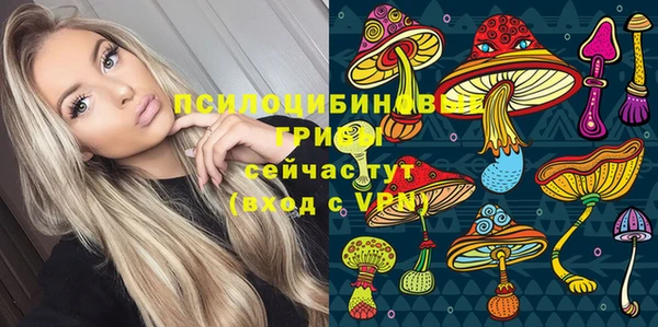 твердый Алексин