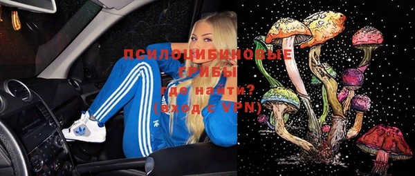 соль ск Алзамай