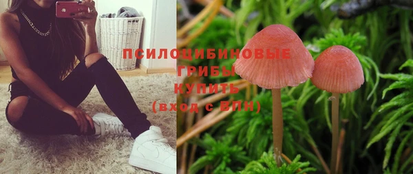 соль ск Алзамай